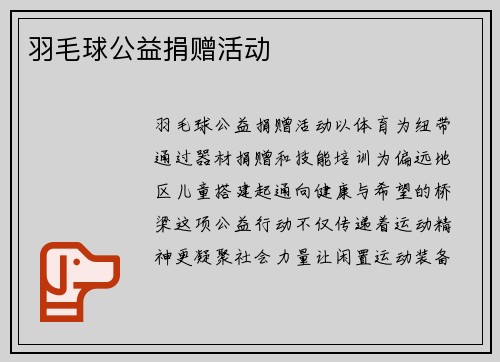 羽毛球公益捐赠活动