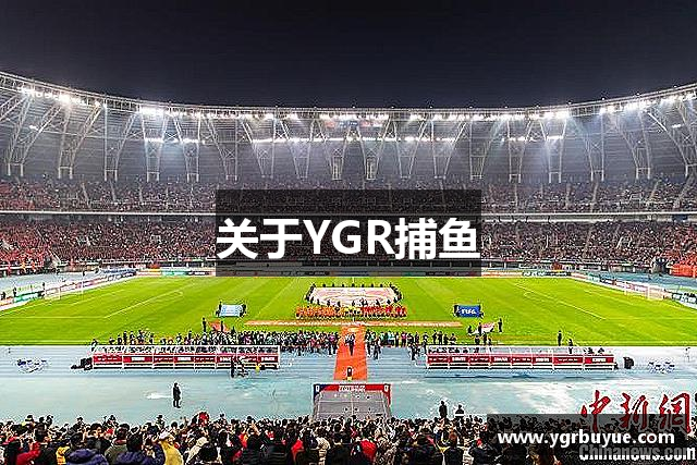 关于YGR捕鱼
